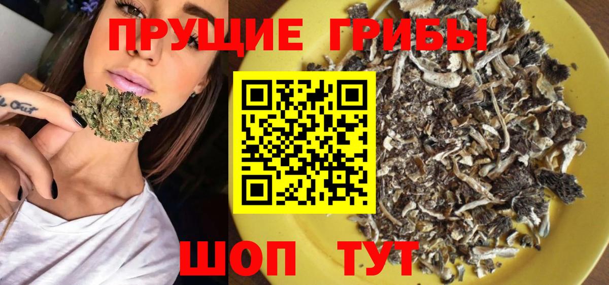 Псилоцибиновые грибы Psilocybine cubensis  Вход с VPN  Кизилюрт 