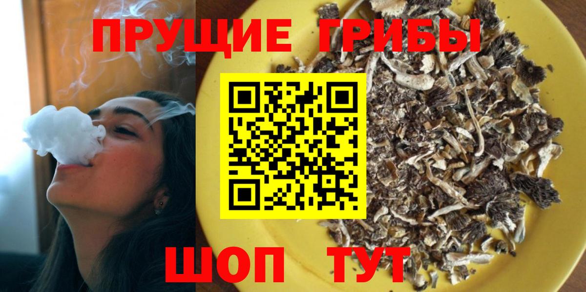 Псилоцибиновые грибы прущие грибы Кизилюрт
