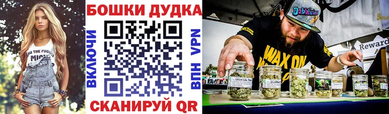 omg сайт  продажа наркотиков  Кизилюрт  Конопля SATIVA & INDICA 