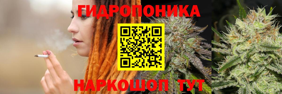Конопля ГИДРОПОН Кизилюрт